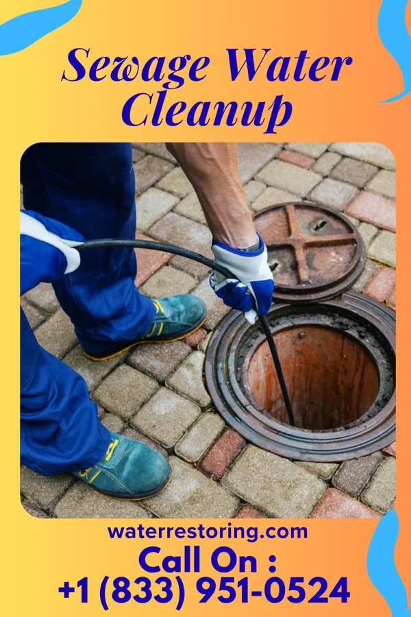 Sewage Water Cleanup in Inverness Highlands South, FL